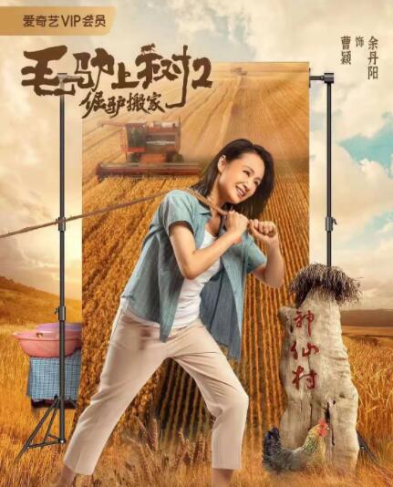后辈的梦想
